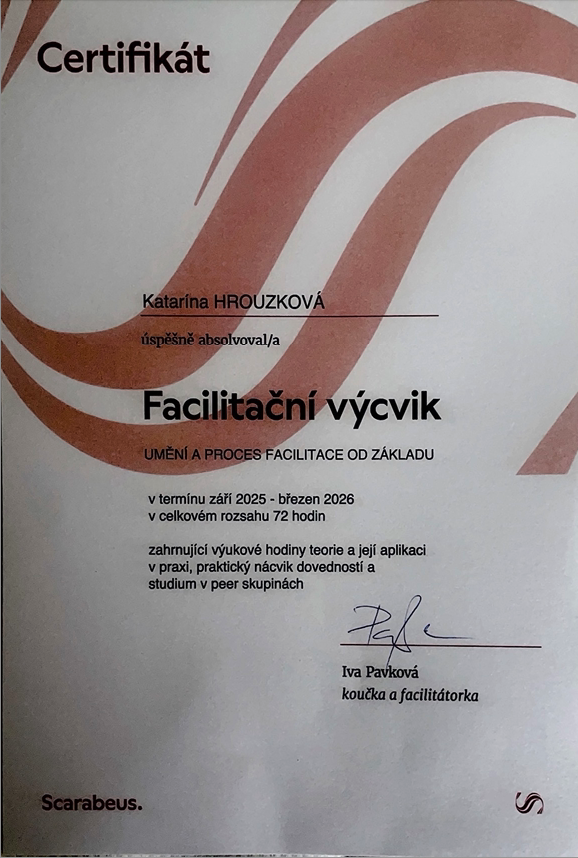 Facilitace